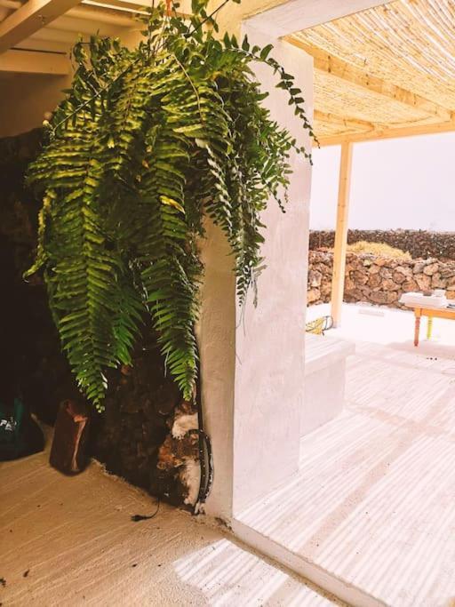 Estudio Con Bano Privado Orzola Ngoại thất bức ảnh